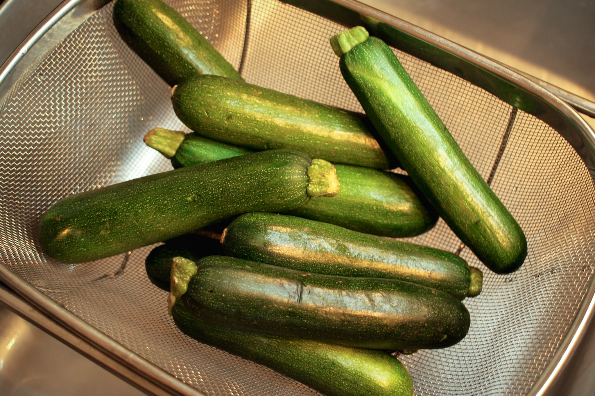 10 Things You Should Know About Zucchini (Zucchino, Zucchine, Zucchina)