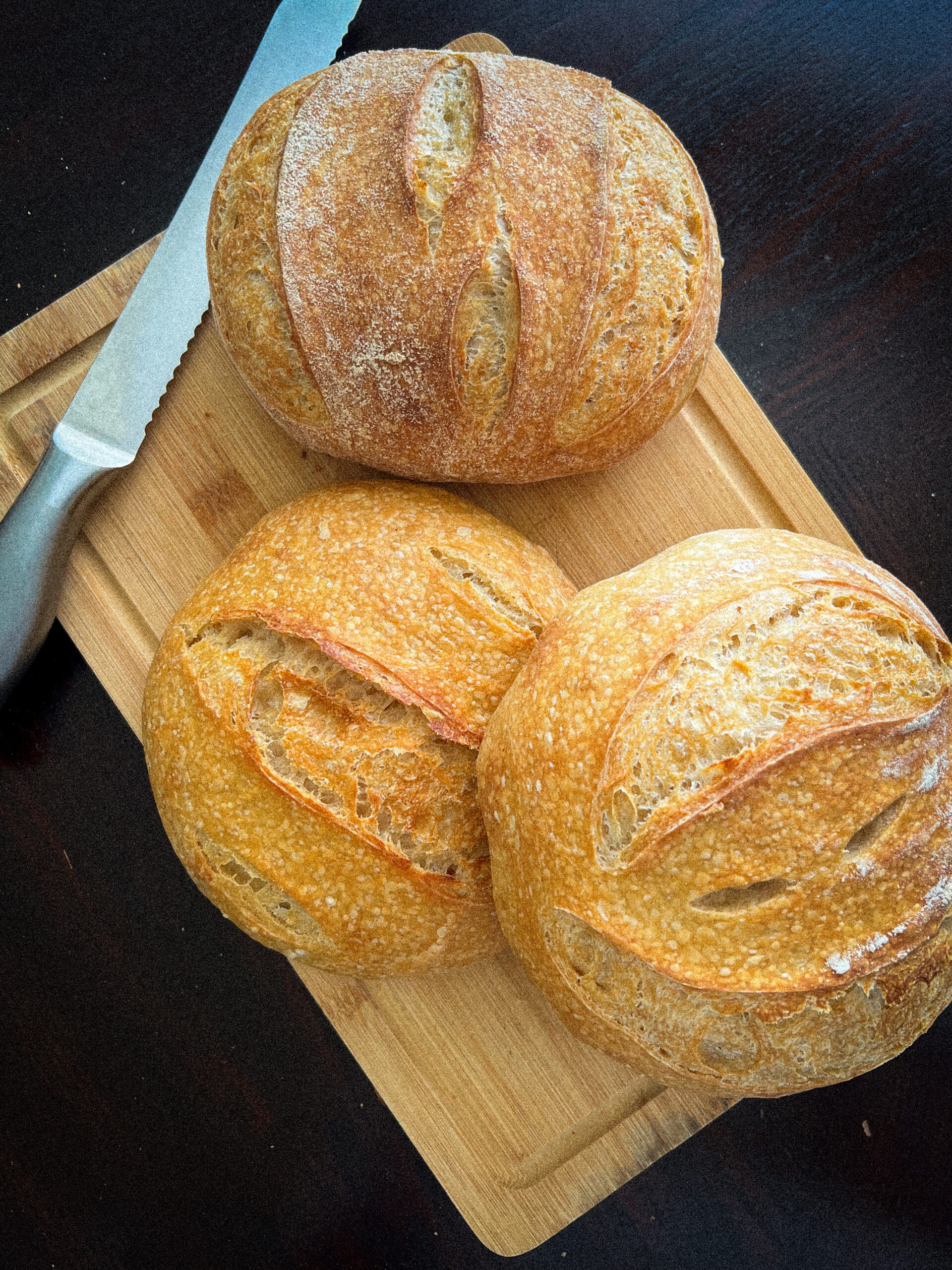The Bakin-Breadwick Sourdough Bakeoff